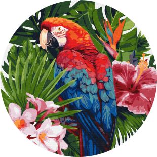 Malen nach Zahlen - Greller Papagei ©art_selena_ua
