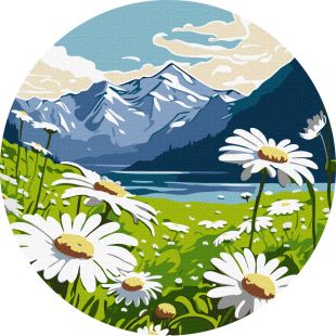 Malen nach Zahlen - Zarte Gänseblümchen ©art_selena_ua