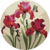 Painting by numbers - Exquisite irises ©annasteshka
