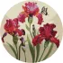 Painting by numbers - Exquisite irises ©annasteshka
