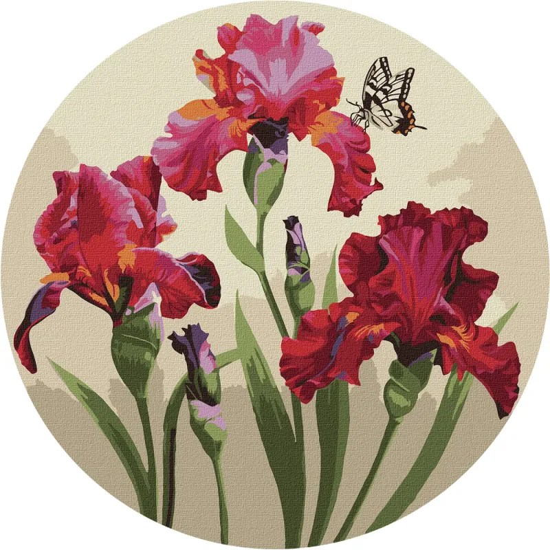 Painting by numbers - Exquisite irises ©annasteshka
