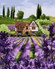 Painting by numbers - A lavender house 