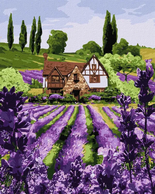 Painting by numbers - A lavender house 