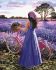 Painting by numbers - Lavender inspiration ©Kira Corporal