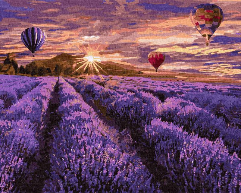 Painting by numbers - Blooming lavender
