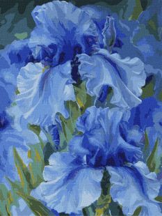 Malen nach Zahlen - Blaue Schwertlilien ©Yulia Tomesko