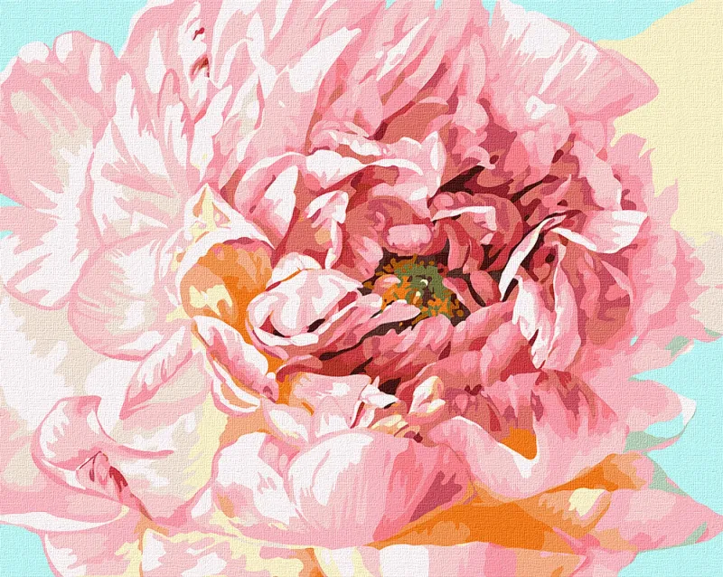 Painting by numbers - Gentle peony ©Ira Volkova