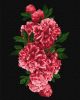Painting by numbers - Passionate peonies 