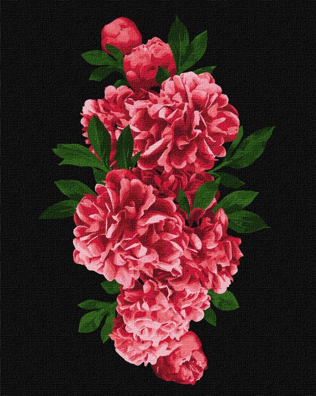 Painting by numbers - Passionate peonies 