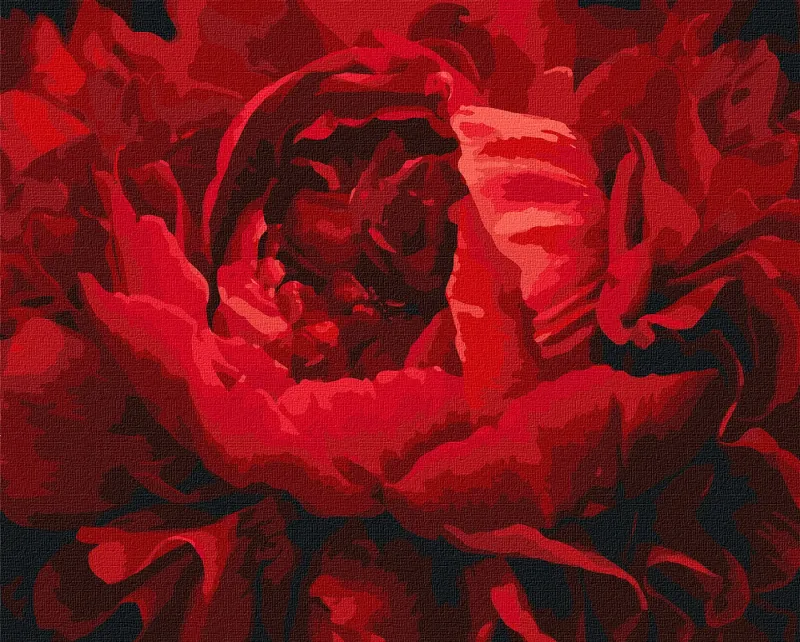 Painting by numbers - An exquisite flower