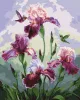 Painting by numbers - Song of summer ©annasteshka