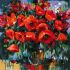 Painting by numbers - Poppy tenderness ©BOND Tetiana