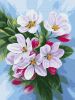 Malen nach Zahlen - Blüte des Apfelbaums ©annasteshka