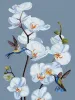 Painting by numbers - Blooming orchids ©annasteshka