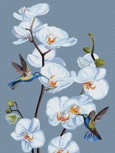 Malen nach Zahlen - Blühende Orchideen ©annasteshka