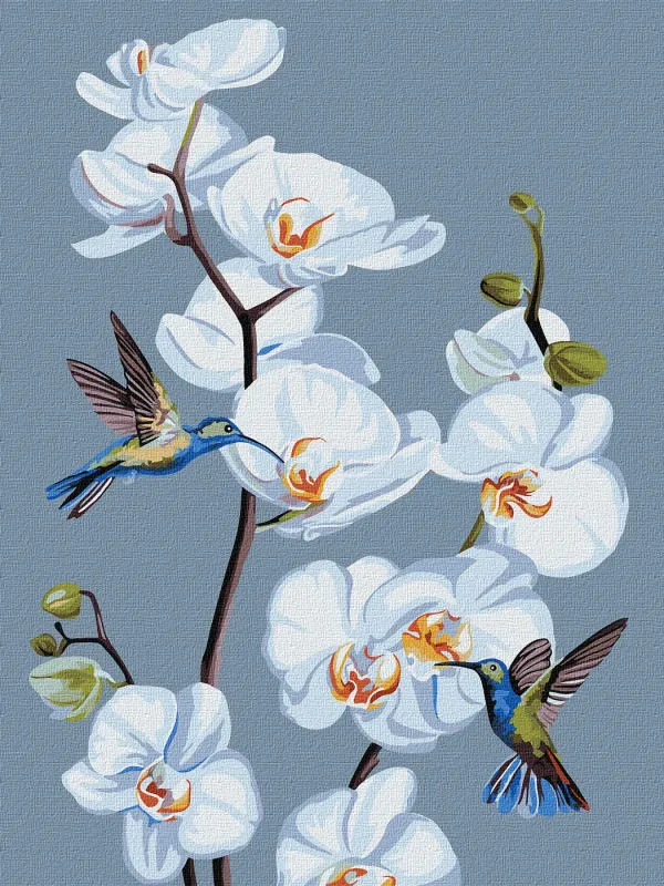 Painting by numbers - Blooming orchids ©annasteshka