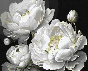 Malen nach Zahlen - Einwandfreier Schönheit mit metallischen Farben 2 ©art_selena_ua
