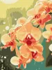Malen nach Zahlen - Orchidee in Tropfen ©art_selena_ua