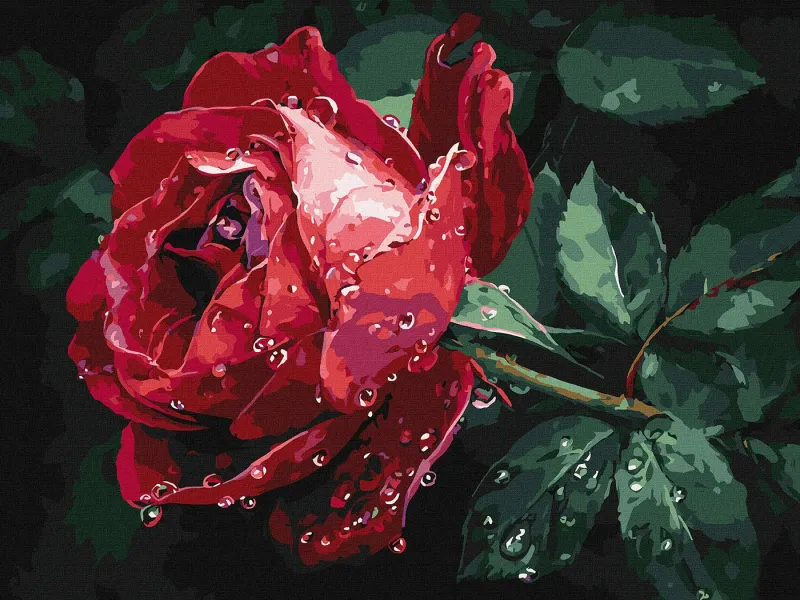 Painting by numbers - Rose in the rain ©art_selena_ua
