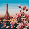 Malen nach Zahlen - Pariser Magnolien
