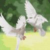 Painting by numbers - Snow white doves 