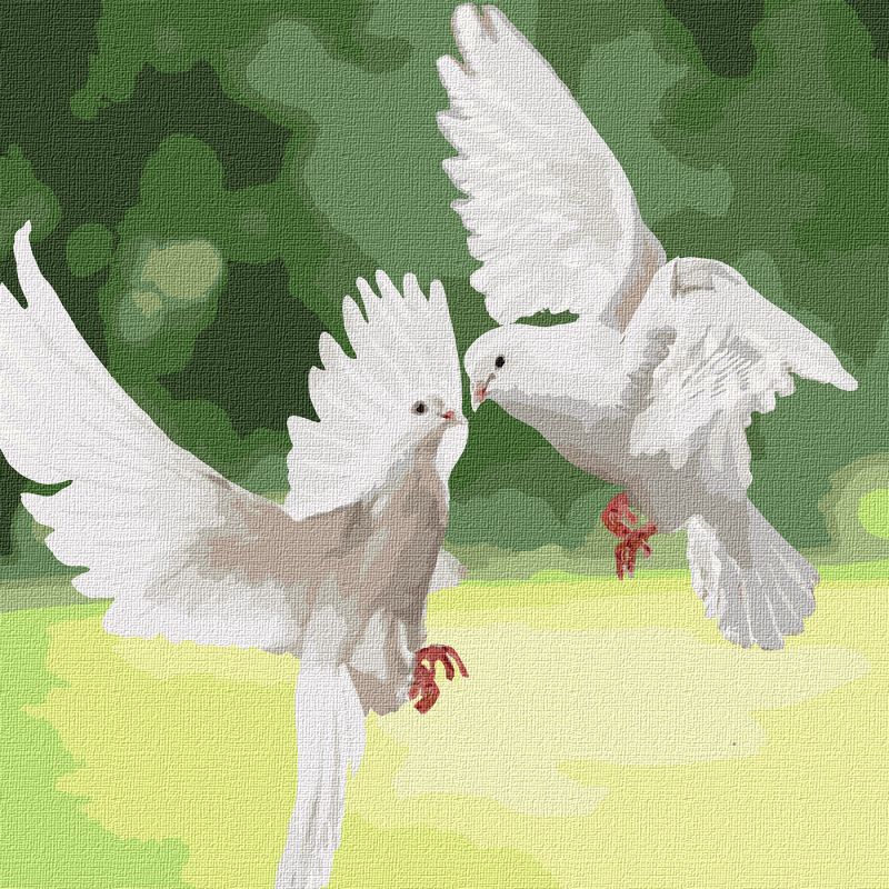 Painting by numbers - Snow white doves 