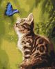 Painting by numbers - Mysterious butterfly 