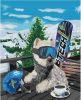 Painting by numbers - Snowboarder 