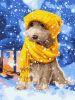 Painting by numbers - Fluffy friend