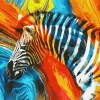 Painting by numbers - Colored zebra