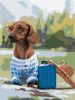 Painting by numbers - Little traveler