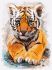 Painting by numbers - Little tiger cub