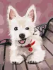Painting by numbers - Playful puppy