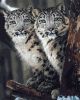 Painting by numbers - Covert surveillance