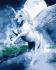 Painting by numbers - Fabulous pegasus