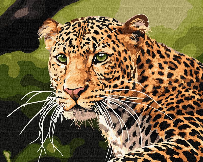Malen nach Zahlen - Grünäugiger Leopard