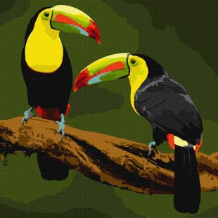 Malen nach Zahlen - Exotische Vögel