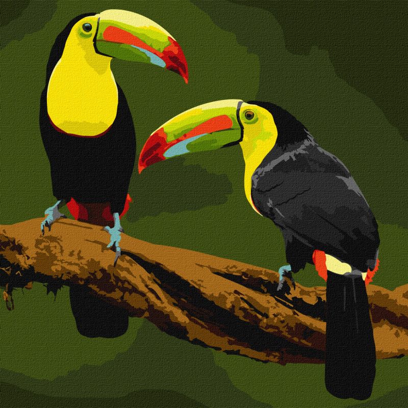 Painting by numbers - Exotic birds