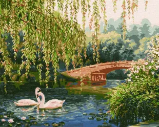 Malen nach Zahlen - Schwäne auf dem See ©Sergiy Lobach