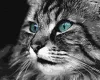 Painting by numbers - Emerald look