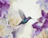 Painting by numbers - The secret garden ©annasteshka
