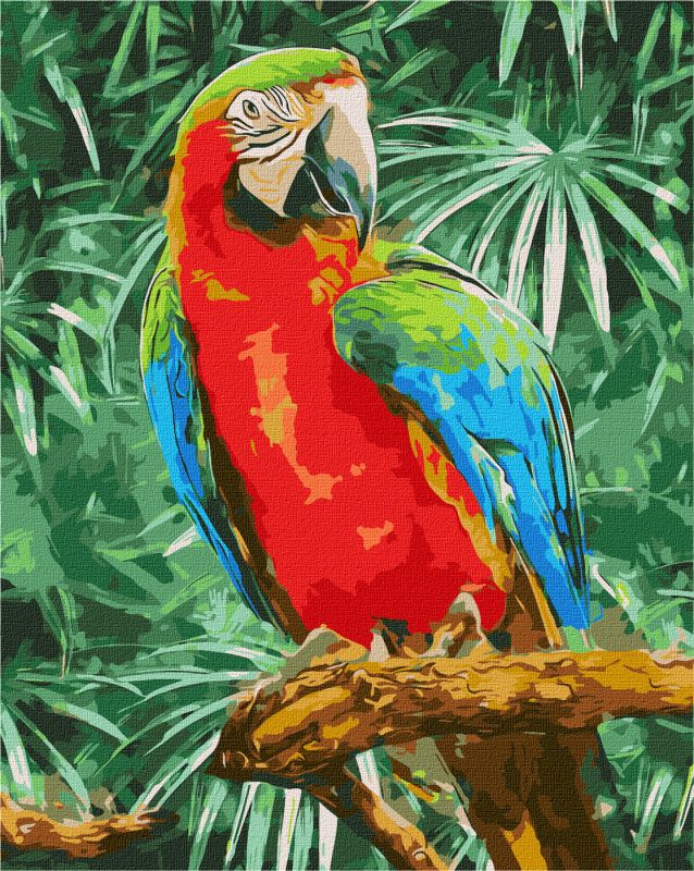 Malen nach Zahlen - Schöner Regenbogen