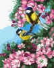 Painting by numbers - Inseparable pair  ©nata_li_karlova