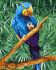 Painting by numbers - Blue miracle