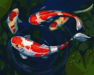 Malen nach Zahlen - Verspielte Fische ©nata_li_karlova
