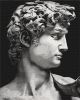 Malen nach Zahlen - Der David von Michelangelo