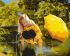 Painting by numbers - Warm autumn days ©sergii.shchepin