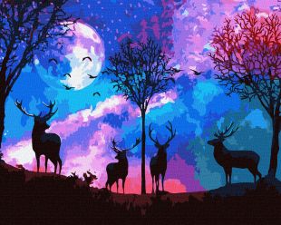 Malen nach Zahlen - Ein märchenhafter Wald