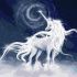 Painting by numbers - White unicorn