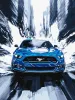 Malen nach Zahlen - Ein blauer Mustang ©art_selena_ua